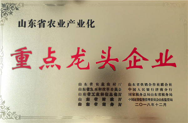 重点龙头企业