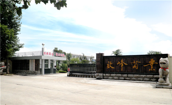 集团环境