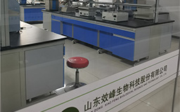 集团环境