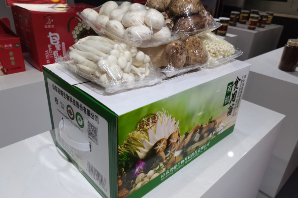 有机食用菌-1.jpg