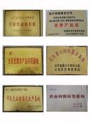 获得奖牌