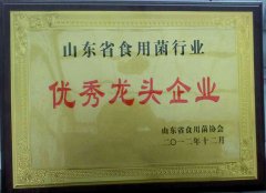 优秀龙头企业